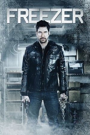 Freezer (2014) Hindi Dual Audio [800MB]