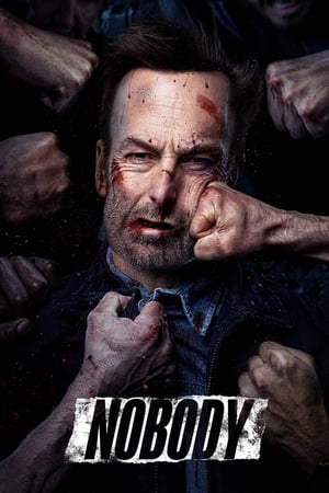 Nobody (2021) Hindi Dual Audio – – 480p
